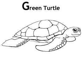 Green ember coloring pages and maze. Picture Of Green Turtle Coloring Page Coloring Sun