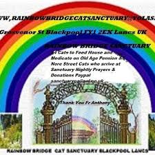 We did not find results for: Rainbow Bridge Cat Sanctuary Posts Facebook
