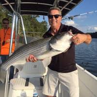 Contact Patrick Stepp, Email: p***@olympiapoolsinc.com & Phone Number