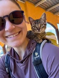 Does anybody know of a mobile vet or a place that will come to you to help  transport your ill furry friend?