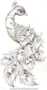 Tattoo peacock free vector we have about (854 files) free vector in ai, eps, cdr, svg vector illustration graphic art design format. Beautiful Peacock Tattoo Art Drawings Sketches