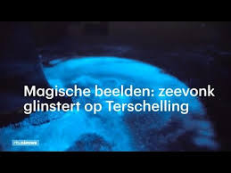 De dekking ligt in een vierkant om nederland en belgië, waardoor er ook data van rondom parijs, op de noordzee en uit een deel van duitsland wordt weergegeven. Magische Beelden Zeevonk Glinstert Op Terschelling Rtl Nieuws Youtube