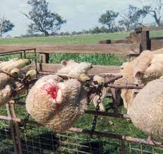 In that case, you can check out our company profiles page or simply contact the brand directly. Vn 09 2