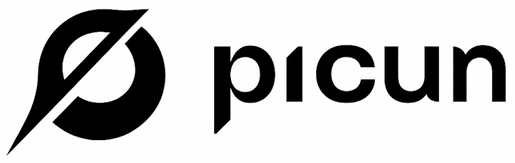 Picun