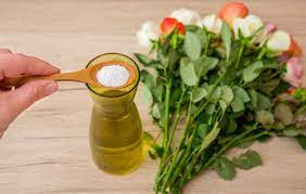 What to do if you don't have flower food. How To Keep Cut Flowers Fresh 15 Tips For Making Cut Flowers Last