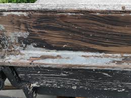 Image result for site:byggahus.se träskada