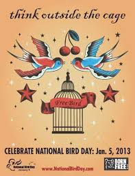 Birds On The Bay Podcast Happy National Bird Day Why Not Flock On Over To Http Www Nationalbirdday Org To Get In On The National Days In January Family Friendly Activities Bird Art