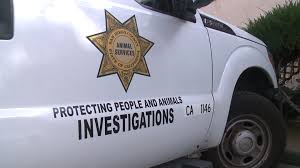 Hundreds of animals removed from San Diego County property