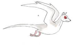 Image result for Dichilus