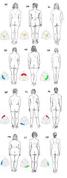 Whats Your Body Type Somatotype Personality Type