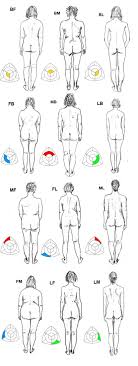 whats your body type somatotype personality type