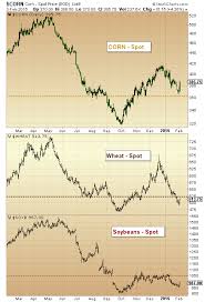 grain sector insights corn soybeans and wheat rally see