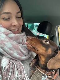 Let's welcome our new members! Please Post pictures/videos, share stories,  and ask for advice from other Dachshund owners. Roswitha Propst, Romina  Alejandra Freire, Rita Reid, Eric Bell, Mucaa Kaku, Matt Draper, Benne