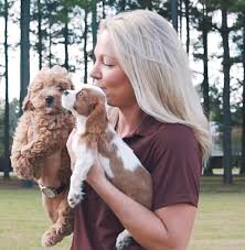 Cocker tips adopting a senior losing your best friend. Charlotte Dog Club Puppies For Sale Charlotte Nc