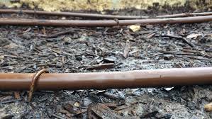 Drip irrigation is an irrigation method that allows optimum application of water and fertilizers in farming systems in drip irrigation heads. Drip Irrigation The Devil S In The Details Garden Style San Antonio