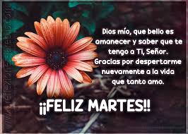 Check spelling or type a new query. Dios Mio Que Bello Es Amanecer Feliz Martes Feliz Martes