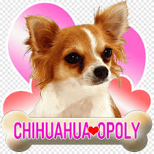 Uzun Sacli Chihuahua Kopek Yavrusu Beagle Fino Kopegi Kopek Yavrusu Kalem Hayvanlar Png Pngegg