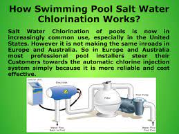 Choose The Best Salt Water Chlorinators By Allstar Poolparts Issuu