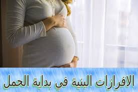 Pin On الحمل