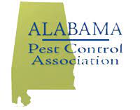 With our effective termite control in birmingham, knox pest control can fortify your home to keep you and your loved ones safe from the dangers and costly repairs of termite. Birmingham Pest Control Services Vulcan Termite Pest Control