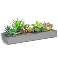 Check spelling or type a new query. A Beautiful Potted Arrangement Of Artificial Succulent Plants In Rectangular 16 Inch Ceme Artificial Succulents Artificial Succulent Plants Planting Succulents