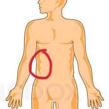 Schmerzen In Der Rechten Bauchseite Was Konnte Es Sein Gesundheit Und Medizin Sport Und Fitness Rippenschmerzen