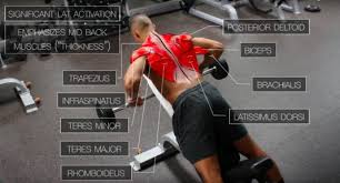 back workout routine best exercises