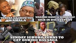 He was supposed to travel to germany through cotonou this night. Igboho Latest News Herunterladen