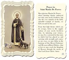 When our beloved animal companion is sick, it's vital to remember the promise of god in psalm 91: And All The Angels And Saints