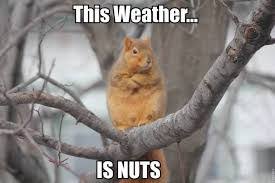 Baby Its Cold Outside Meme 003 Nuts Comics And Memes
