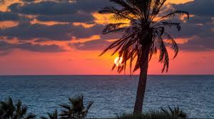 Image result for images morning sun in israel