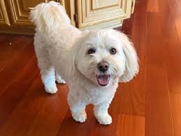 Photo posted by Veronica Mccarty (@veronica.mccarty.946)