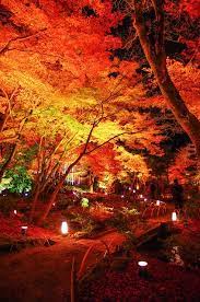 kyoto houkyouin autumn scenery beautiful landscapes beautiful nature
