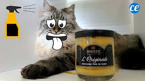 Le Spray Redoutable Qui Fait Fuir Les Chats De Votre Jardin Pour De Bon En 2020 Urine De Chat Pipi De Chat Chat