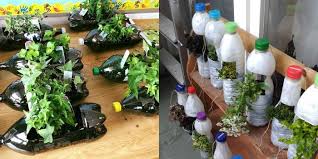 1 kotak bak plastik berukuran 28 x 36 x 13 cm 1 buah tray semay 9. Hari Bumi 2019 Ada Sampah Botol Plastik Di Rumah Ini Tips Mengubahnya Jadi Lebih Bermanfaat Semua Halaman Nakita