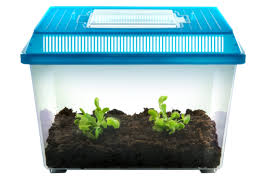 What do you think i should do? Deluxe Venus Flytrap Terrarium Kit Nature Gift Store