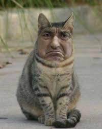 Синтез на кисело зеле‎