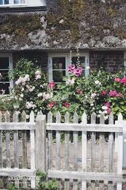 Stockrosen In Danemark Stockrosen Geheimer Garten Garten