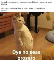 Pin De Tamara V En Memes Bts En 2020 Memes Divertidos Meme Gato Memes
