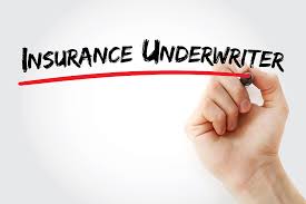 As insurance covers the risk, it is very important to first calculate the risk of. What Makes A Great Underwriter In 2020
