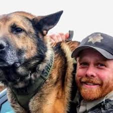 Today, we honor the life and service of retired K9 Ezel, who passed away at  nearly 13 years old. Ezel faithfully served the Deschutes County Sheriff's  Office until his retirement in 2022,