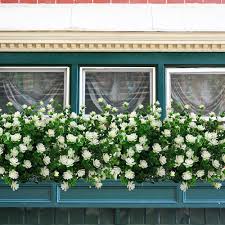 We did not find results for: Buy Artificial Flowers Outdoors Fake Uv Resistant Plastic Plants 8 Bundles White Online In Canada B07t1s5n9l