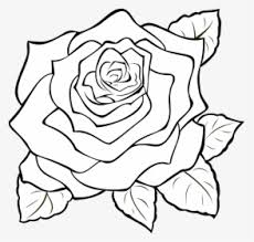 Download transparent corner design png for free on pngkey.com. Rose Outline Png Images Free Transparent Rose Outline Download Kindpng