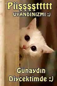 Gunaydinnnnn Mutlu Gunler Sosyetik Lerim Www Sosyetikcadde Com Goodmorning Gunaydin Komik Seyler Komik Komik Metinler