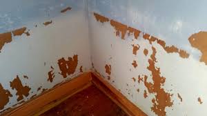 (the one the paint picture). Just Add Paint From Doom And Gloom To A Bright New Room