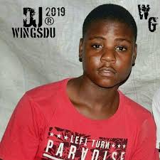 Dj Wingsdu mix