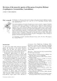 Image result for Entephria polata