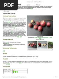 Image result for Ekebergia benguelensis