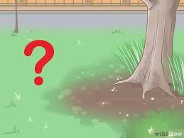 I love that it's fun for all ages! How To Make A Fairy Garden Village 7 Steps With Pictures