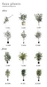 Olive Trees Are The New Fiddle Leaf Fig Fiddle Leaf Fig Fiddle Leaf Faux Olive Tree
